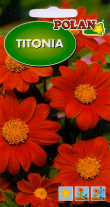 PLANTICO plantefrø grøntsagsfrø blomsterfrø
